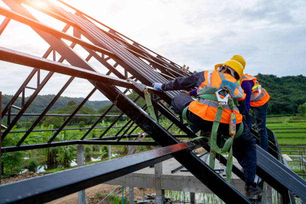 Best Residential Roofing Contractor  in Battle Creek, NE