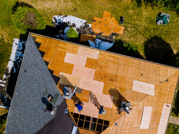 Best Residential Roofing Contractor  in Battle Creek, NE