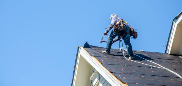 Best Shingle Roofing Installation  in Battle Creek, NE